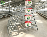 Équipement d'élevage de poules pondeuses avec cages à poules post-galvanisation à chaud, durée de vie de 20 ans, pour projets de 5000 à 20000 poules pondeuses