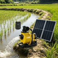 Nouvelle Pompe Centrifuge Solaire DC à Auto-amorçage et Grand Débit 48V-72V à Haute Pression pour l'Irrigation Agricole des Puits