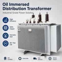 Transformateur de distribution immergé dans l'huile à enroulement en cuivre triphasé Wanbo-301 haute efficacité 315 kVA 10 kV 0,4 kV