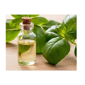 น้ำมันหอมระเหยจากใบโหระพาอินเดียบริสุทธิ์สำหรับน้ำมันหอมระเหยบรรเทาความเครียดจากธรรมชาติมีภูมิคุ้มกันสนับสนุนสุขภาพทางเดินอาหารและสุขภาพที่สดชื่น - Product Image 6