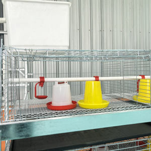Jaula de Cría para Pollos de Engorde, Jaulas para Cría de Aves de Corral, Jaulas para Pollitas, Capacidad para 90-320 Aves, Material de Acero Galvanizado - Product Image 4