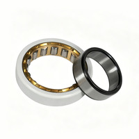 Roulement à rouleaux cylindriques isolé NU216-E-M1-C3, Roulement NU216-E-M1-F1-J20AA-C3, Roulement NU216-EM1-F1C3