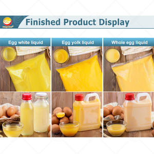 <span class=keywords><strong>ORME</strong></span> pastorizzato liquido uovo bianco linea di trasformazione automatica uova pastorizzazione macchina per la vendita - Product Image 6