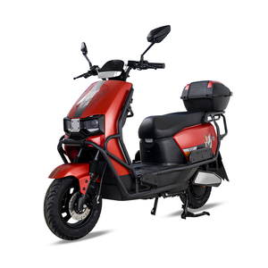 Motocicleta Rápida de 1000W para Jóvenes y Adultos - Product Image 6