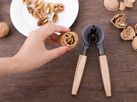 Pince à noix originale, casse-noisette, outil de cuisine, anti-éclaboussures, entonnoir