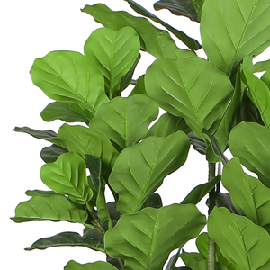 Nhà Máy Bán Hàng Trực Tiếp 165Cm Lớp Giả Nhà Máy Bất Cảm Ứng Nhân Tạo Tự Nhiên Nhân Tạo Cây <span class=keywords><strong>Fiddle</strong></span> Lá vả Nhà Máy Cho Nhà Ngoài Trời - Product Image 3