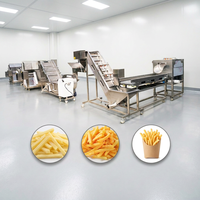 Kleinschalige 100 Kg/u Frietjes Productielijn Automatische Frietproductielijn Bevroren Frietverwerkingsmachine