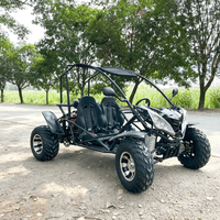 Buggy tout-terrain électrique 200cc à moteur essence LNA pour adultes – Idéal pour les excursions en forêt tropicale