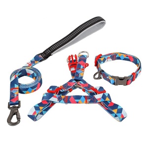 Conjunto de Collar y Correa Personalizados de Lujo para Perros, Productos para Mascotas de Todos los Tamaños, Collar y Correa de Entrenamiento para Perros Personalizados de Moda - Product Image 1