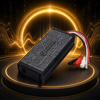 RMS 600W Mono Deniz Tipi Amfi Sınıf D Kompakt Yüksek Güçlü Mikro Araba Ses Sistemi Amfisi Çift Katmanlı PCB Subwoofer Sürücüsü
