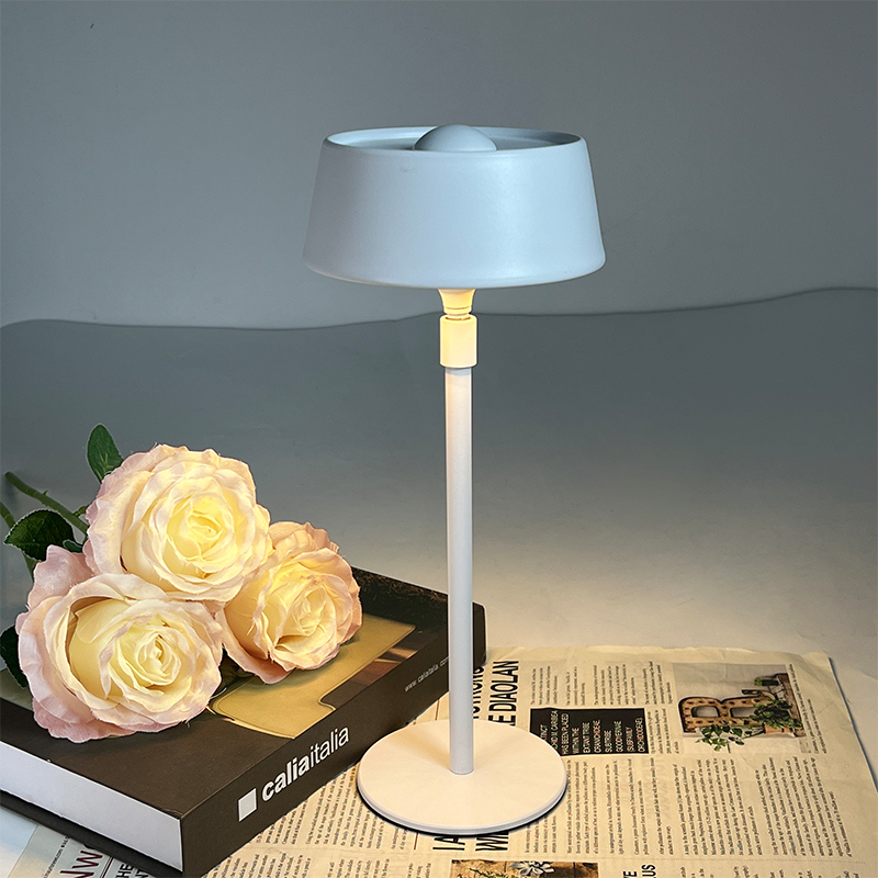 Bedroom Lamp Creative Gift Plug in