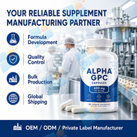 Capsules Alpha GPC Marque Blanche 600mg Supplément de Choline 120 Gélules Végétales Formule Personnalisée Fabricant OEM ODM Fournisseur en Gros