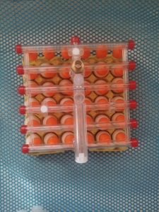 Chân không 30 trứng loại cố định nâng trứng sản xuất cốc bơm chân không trứng xếp chồng Thiết bị hút - Product Image 3