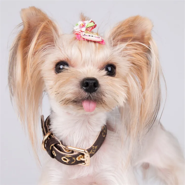 Pet Accessories Fashion Luxury Leather PU Classic Printing Designer Dog Collar Leash