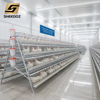 Cages à poules pour élevage, cages en batterie pour poules pondeuses, poulaillers d'élevage, cages de couvaison pour poulets reproducteurs