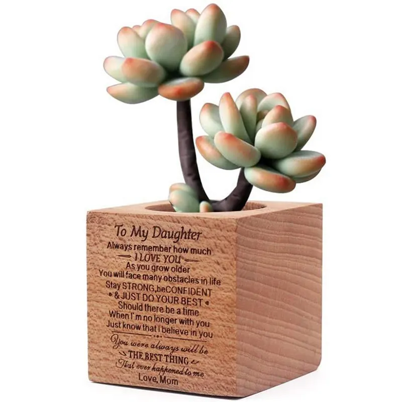 Aangepaste Moderne Home Desk Decoratieve Kleine Vierkante Houten Planter Box Hout Succulent Potten