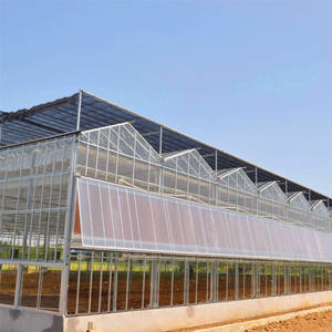 Invernadero Venlo Multi Span de policarbonato de tubería galvanizada para plantar/cría/exposición/experimento/investigación ecológica - Product Image 4