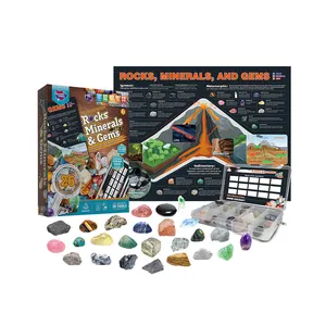 Hot Selling Natural Stem Science Toys Can Learn About Geological Cultures Includes Various Realistic Raw Rocks for Kids