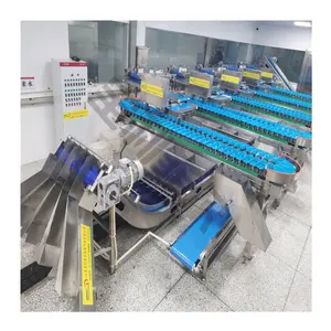 automatic grades Weighing Sorter oyster sea cucumber fish sorting machinery grading machine fruit sorting and picking machine