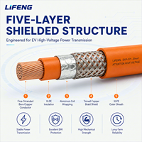 Cable de Carga CC para Vehículos Eléctricos, Precio de Fábrica, Flexibilidad en Frío, XLPE EVR IP67, Alto Voltaje, CE///IUV para Nueva Energía
