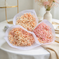 Bunga Gypsophila Kering Grosir, Buket Baby's Breath, Pengisi Bunga Bulat untuk Dekorasi Pernikahan dan Rumah
