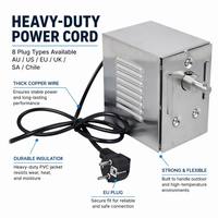 Moteur de rôtissoire à couple élevé 150-200 KGF.CM 45W certifié CE, 2-3 tr/min pour agneau et cochon entiers, prise EU/US/UK/AU