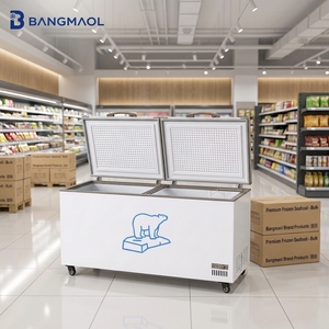 Commercial Horizontal Deep Freezer Twin Top Opening Lids with Casters for <b>Bakery</b> Catering and Restaurant Food Storage - Product Image 1