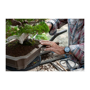 เครื่องเล่นแผ่นเสียงบอนไซประดับสวนแบรนด์ Tanabe - Product Image 4