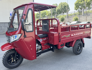 بيع مباشر من المصنع 2025 الأكثر مبيعًا دراجة نارية ثلاثية العجلات للشحن تعمل بالبنزين كاينيو تشوبر مع كابينة 250 سي سي دراجة ثلاثية العجلات ثقيلة الحمولة - Product Image 2