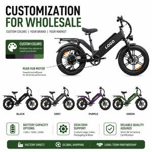 Bicicleta Eléctrica Personalizable D55 con Neumáticos Gruesos 20x4.0, Alcance de 240 km, Motor de Alta Velocidad para Empresas de Reparto - Product Image 1