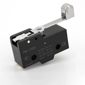 Interruptor de Viaje Serie TM con Contactos de Plata, Conductores de Cobre, ABS Retardante, Varios Tipos Disponibles para Envío Inmediato, Serie TM TM-1307 High - Product Image 6
