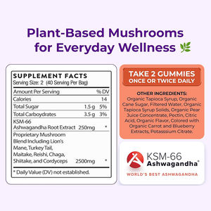 OEM/ODM Label pribadi suplemen penguat otak nootropik jamur organik untuk dewasa penambah energi memori - Product Image 5