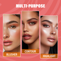 Palette de Maquillage Visage Professionnelle OEM : Crème Bronzante et Illuminateur pour Contour et Définition, Haute Pigmentation