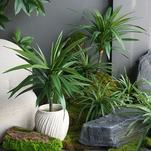 Hojas Verdes Artificiales Ecológicas Personalizadas, Plantas de Aloe <span class=keywords><strong>Vera</strong></span> y Dracaena para Decoración del Hogar, Bodas, Navidad, Escaparates de Centros Comerciales - Product Image 6
