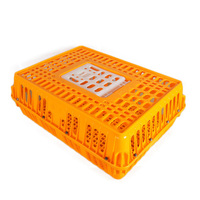 Fournitures Nid en plastique Transport Pliable Volaille Pigeon Paniers Cages