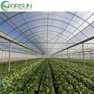 자동 창따개 온실 통풍구는 다양한 작물 성장 단일 경간 온실에 사용할 수 있습니다