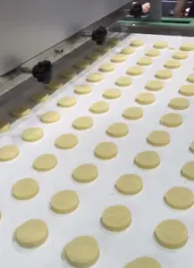 Macchina automatica funzionale per lo stampaggio di biscotti e biscotti per torte dolci in noce