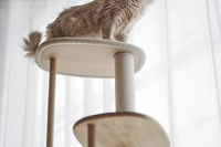 Arbre à chat architectural sur mesure YOUME en chêne massif avec marches texturées, Kratzbaum pour marques de luxe pour animaux de compagnie