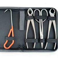 RUITEJIA Kit d'outils de bonsaï en acier inoxydable 4 pièces, argent métallisé, ciseaux à bout concave, outils professionnels