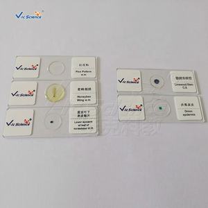 Portaobjetos de Botánica para <span class=keywords><strong>Microscopio</strong></span>: Bulbo de <span class=keywords><strong>Cebolla</strong></span>, Epidermis W.m. - Product Image 5