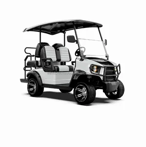 Wintao-carrito de Golf eléctrico WT01, carro de Golf eléctrico estable, 2 + 2 asientos