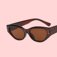 Lunettes de soleil pour femmes, style rétro, verres AC UV400, monture PC, polyvalentes, tendance, cadeau