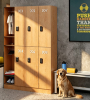 Armoires de rangement modernes de haute technologie pour salles de sport, casiers, bancs, panneaux HPL pour écoles, imperméables, ignifuges, écologiques