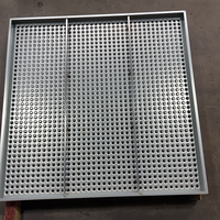 Plaque en acier inoxydable perforée antidérapante à trous ronds surélevés pour passerelle, marche d'escalier, plateforme