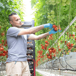 Sinok Gewächshaus Hydro ponik Turm NFT Hydro ponik für Salat Vertikale Landwirtschaft <span class=keywords><strong>Cocopeat</strong></span> Tomaten Gemüse Landwirtschaft Landwirtschaft - Product Image 6