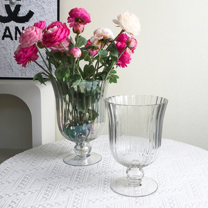 <span class=keywords><strong>Vase</strong></span> <span class=keywords><strong>en</strong></span> <span class=keywords><strong>verre</strong></span> français haut <span class=keywords><strong>de</strong></span> gamme, créatif, à large ouverture et <span class=keywords><strong>pied</strong></span> haut, <span class=keywords><strong>en</strong></span> <span class=keywords><strong>forme</strong></span> <span class=keywords><strong>de</strong></span> tasse, pour la décoration <span class=keywords><strong>de</strong></span> salon et <span class=keywords><strong>de</strong></span> la maison - Product Image 2