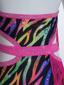 Vestido de Baile Latino para Niñas, con Flecos, Halter, Leotardo con Pedrería, Spandex, para Salsa, Tango, Baile de Salón, Ajustado, para Competencia, Personalizado - Product Image 4