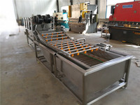 Automatische Fruitgroenten Tamato Wassen Reinigings-En Sorteermachine Kleine Verwerkingsfabriek Tomatenpuree Productielijn