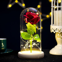 Lampe Chaude à Fleur Éternelle avec Couvercle en Verre, Rose Artificielle Lumineuse, Cadeau de Saint-Valentin et de Noël, Vente en Gros Transfrontalière