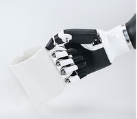 YHY-RH56BFX Robots Humanoides de Alta Velocidad con Agarre Moderado de 540g, Mano Ligera de Cinco Dedos y Manielaza